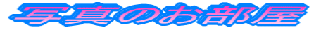 �ʐ^�̂�����