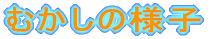�ނ����̗l�q