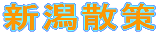 �V���U��